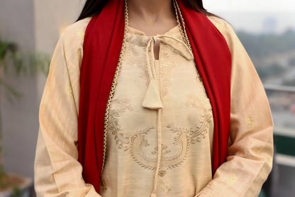 BRANDSINN-3PC KHADAR CUTWORK EMBROIDERED SHIRT WITH I DHANAK EMBROIDERED  WOOL SHAWL-BIC-1512